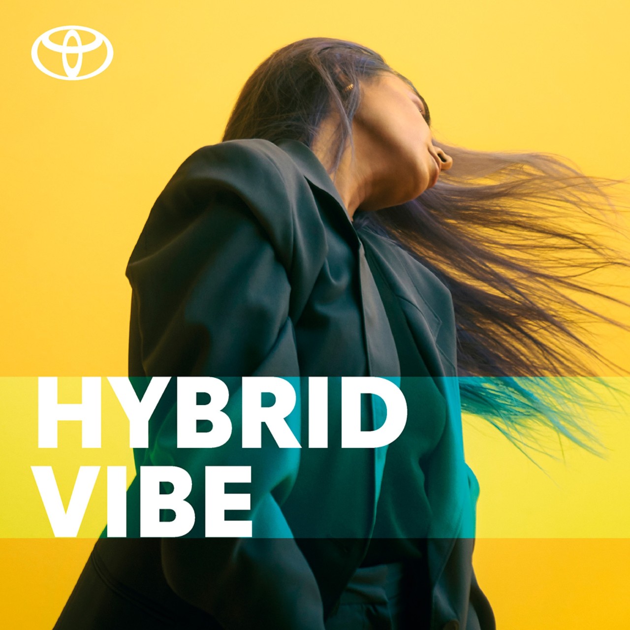 Hybrid Vibe